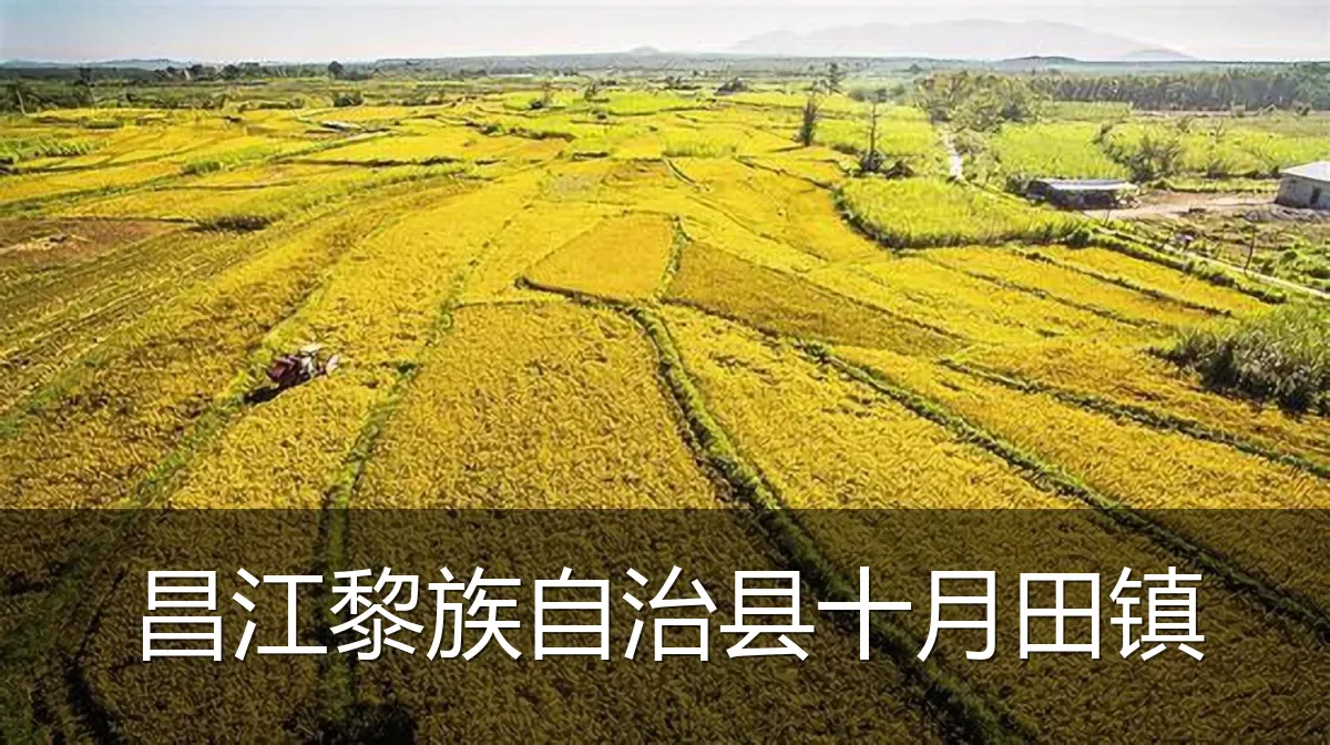 昌江黎族自治县十月田镇